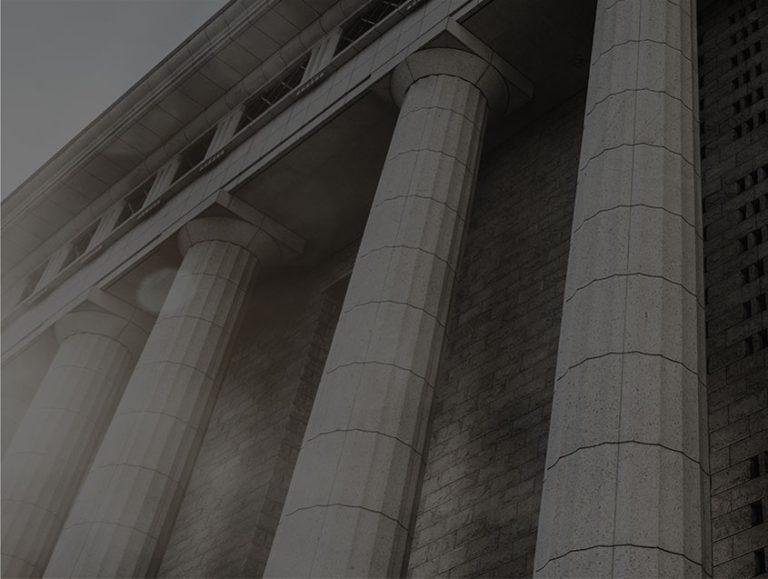 ANILF strategic legal guidance